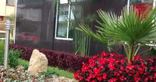 SALUD INTEGRAL MEB BOGOTÁ SALUD INTEGRAL MEB BOGOTÁ